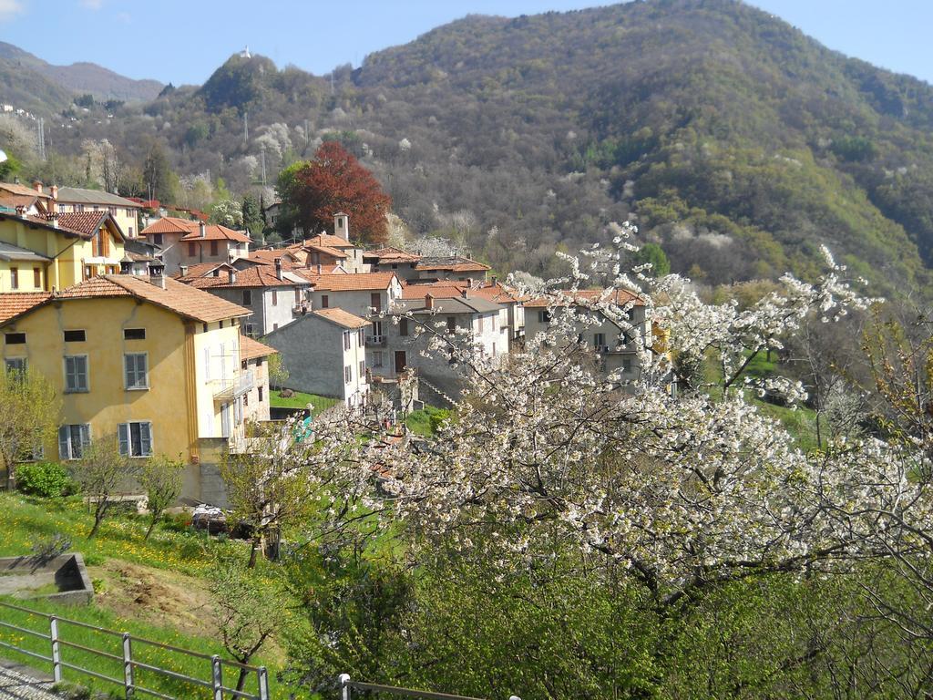Casa Del Fra' Apartment Plesio ภายนอก รูปภาพ